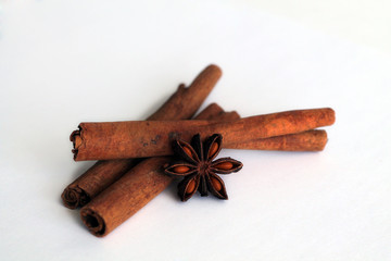 Cinnamon sticks and star anise on white background.