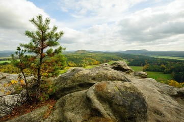 Autumn landscape - all beautifully colored
