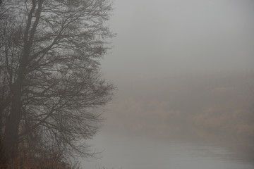 landscape - fog in  late fall
