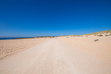 Fototapeta na wymiar lonely sand track to Trafalgar Cape in Cadiz