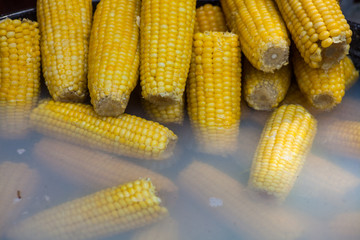 Boiled corn cobs