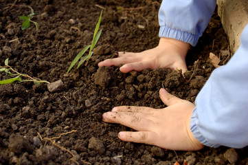 Children planting