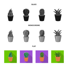 Isolated object of cactus and pot logo. Collection of cactus and cacti stock symbol for web.