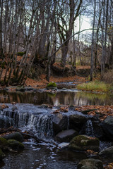 waterfall over the rocks in river stream in forest