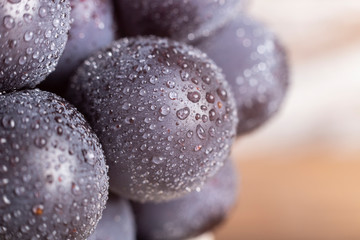 bunch of grapes for red wine on the table