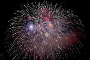 Fireworks light up the sky with dazzling display