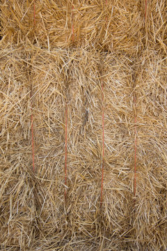 Textura paja