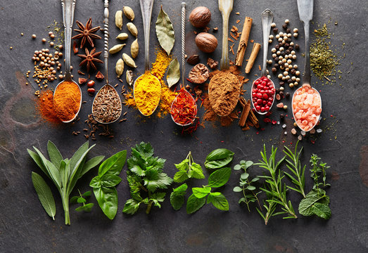 Fototapeta Spices and herbs on black board
