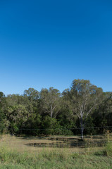 Australian bushland and rural backyard