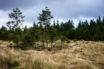 Naturpark Hohes Venn Eifel
