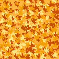 Autumn Set of Orange Maple Leaves on White Background, Vector Version