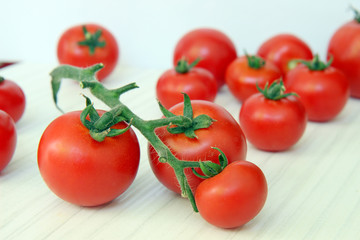 fresh tomatoes on the vine