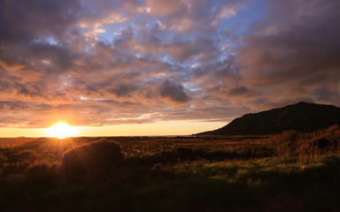 Obraz premium Golden fields with sunset