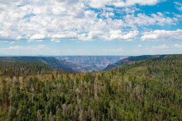 Amazing view of Grand Canyon, Arizona, United States