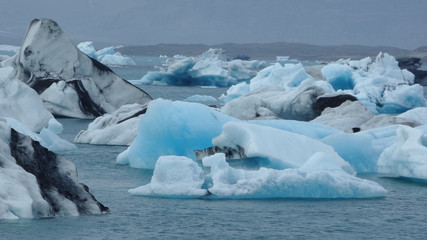 Türkisblaue und schwarzweiße Eisberge in Island