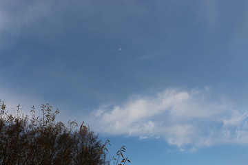 Сrowns of autumn trees are on a background of blue sky