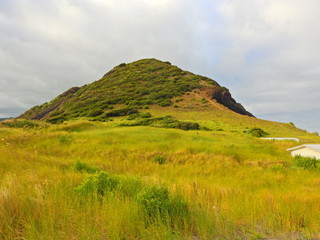 Fototapeta premium Mountain in Faial island, Azores, Portugal 