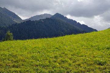Fototapeta premium weide im kleinwalsertal