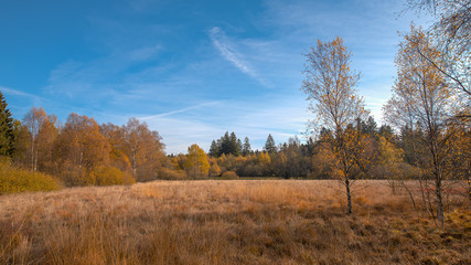 Schwarzes Moor - Rhön