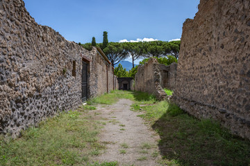 The Roman Ruins in Pompii - 231755462