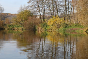 Trees in autumn foliage stand on the river bank