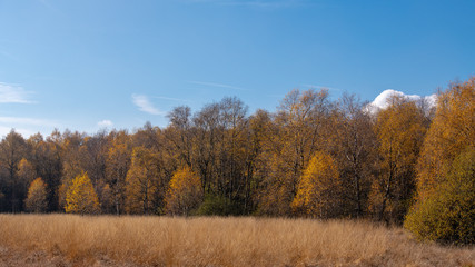 Obraz premium Schwarzes Moor - Rhön