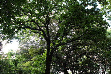 Obraz premium Seights