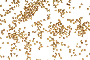 Coriander seeds isolated on white background, top view.