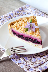 Piece of blueberry cake on a plate
