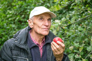Elderly male farmer eating a red juicy apple, enjoying the taste and aroma, concept of planting and harvesting
