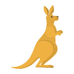 Australian animal kangaroo. Mammal from the australia