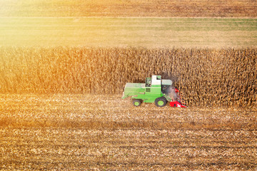 Obraz premium Harvesting corn in autumn Aerial skyline shot
