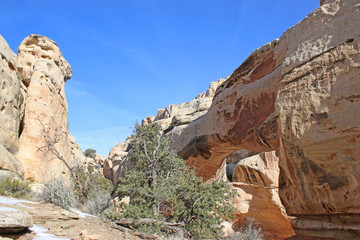 Fototapeta premium Capitol Reef National Park, Utah in winter