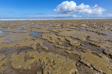 Tidalflats Peazemerlannen