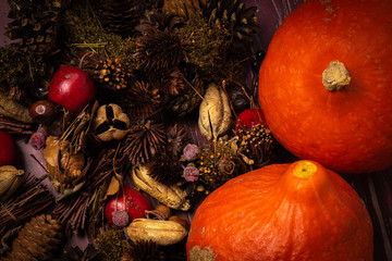 deux courges au milieu de fruit et divers élément d'automne