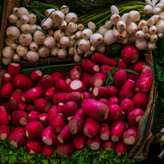 Background with fresh radishes and onions