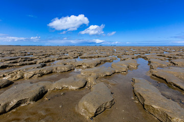 Tidalflats Peazemerlannen