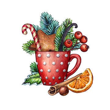 christmas greeting card design, red mug, polka dot, gingerbread cookie, candy cane, berries, conifer twigs, cinnamon, orange, treat, forest bouquet, watercolor clip art isolated on white background