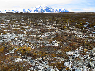 Mountain in the tundra