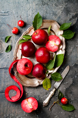 Still life with apples on vintage plate over gray table, top view. Fresh red apples Baya Marisa with leaves.