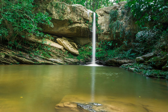 waterfall in forest
