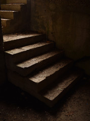 old stone steps with dead leaves