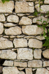 The wall of an old stone house covered with plants