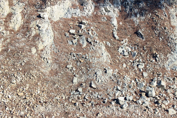 Eroded white rock surface partly covered with fallen pine needles