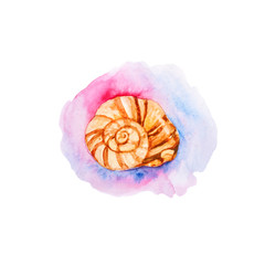 Watercolor illustration with isolated shell on a bright circle background