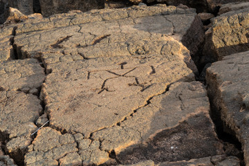 Petroglyphs in Waikoloa Field, on the King's Trail (