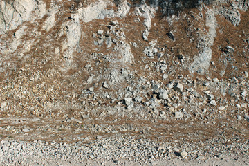 Eroded white rock surface partly covered with fallen pine needles
