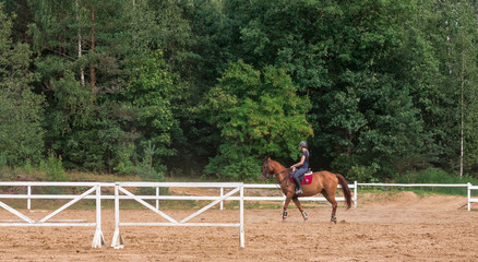 Dressage rider on bay horse galloping in field