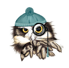 Fototapeta premium Owl with cap