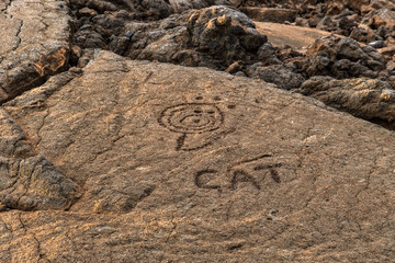 Fototapeta premium Petroglyphs in Waikoloa Field, on the King's Trail (